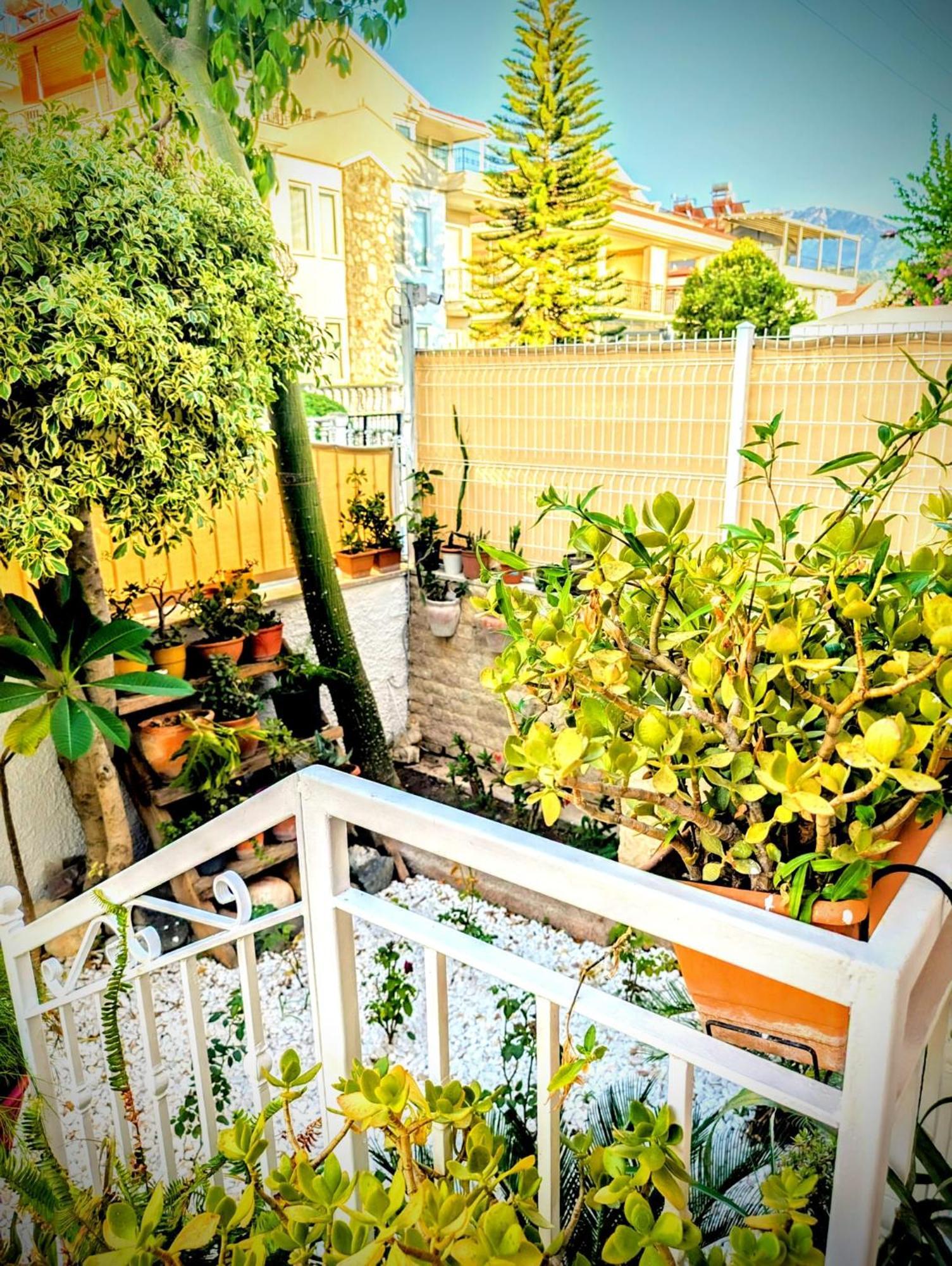 Villa Atlas Фетхіє Екстер'єр фото